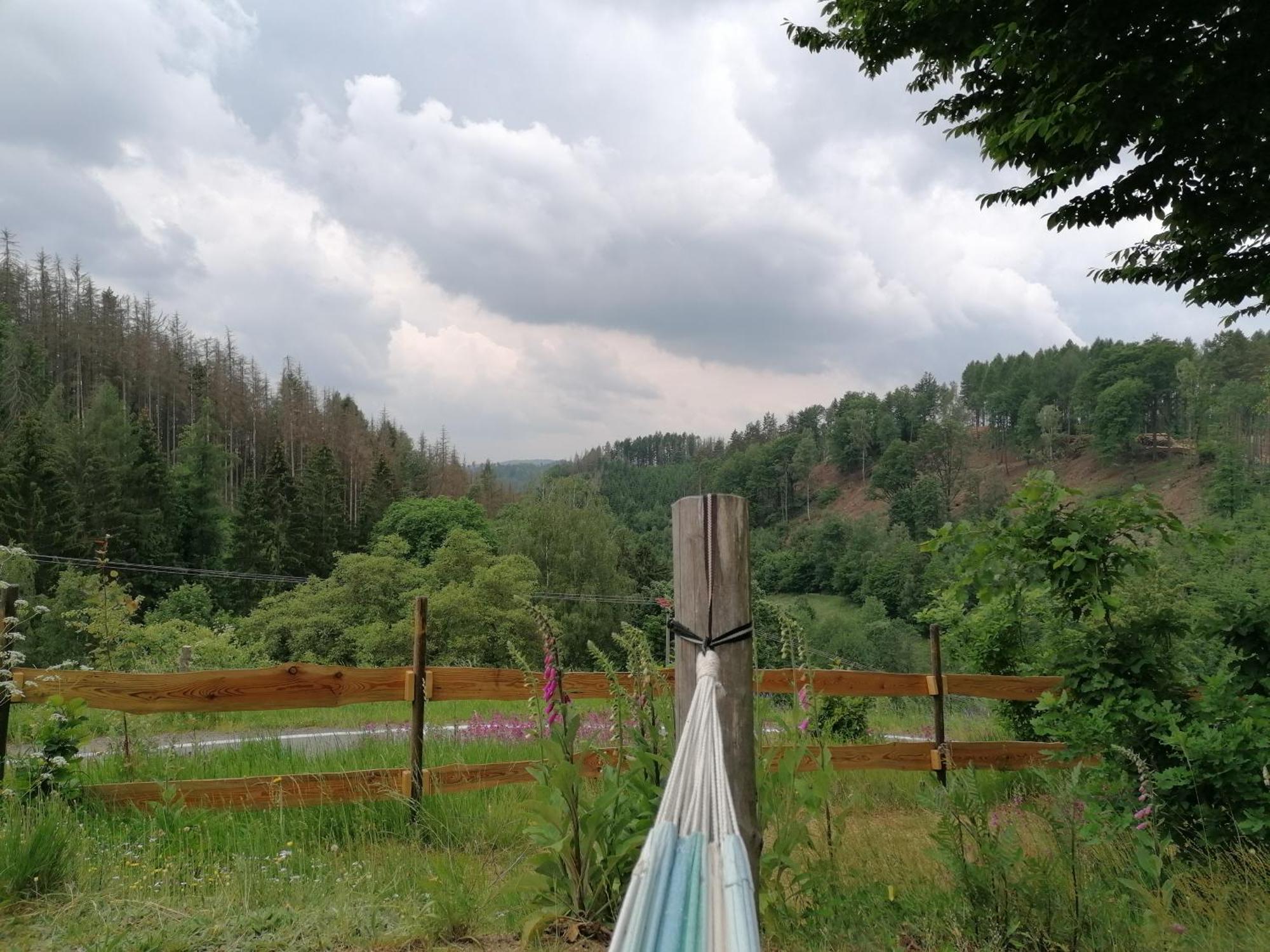 فندق Kraeuterbaude Saupsdorf المظهر الخارجي الصورة