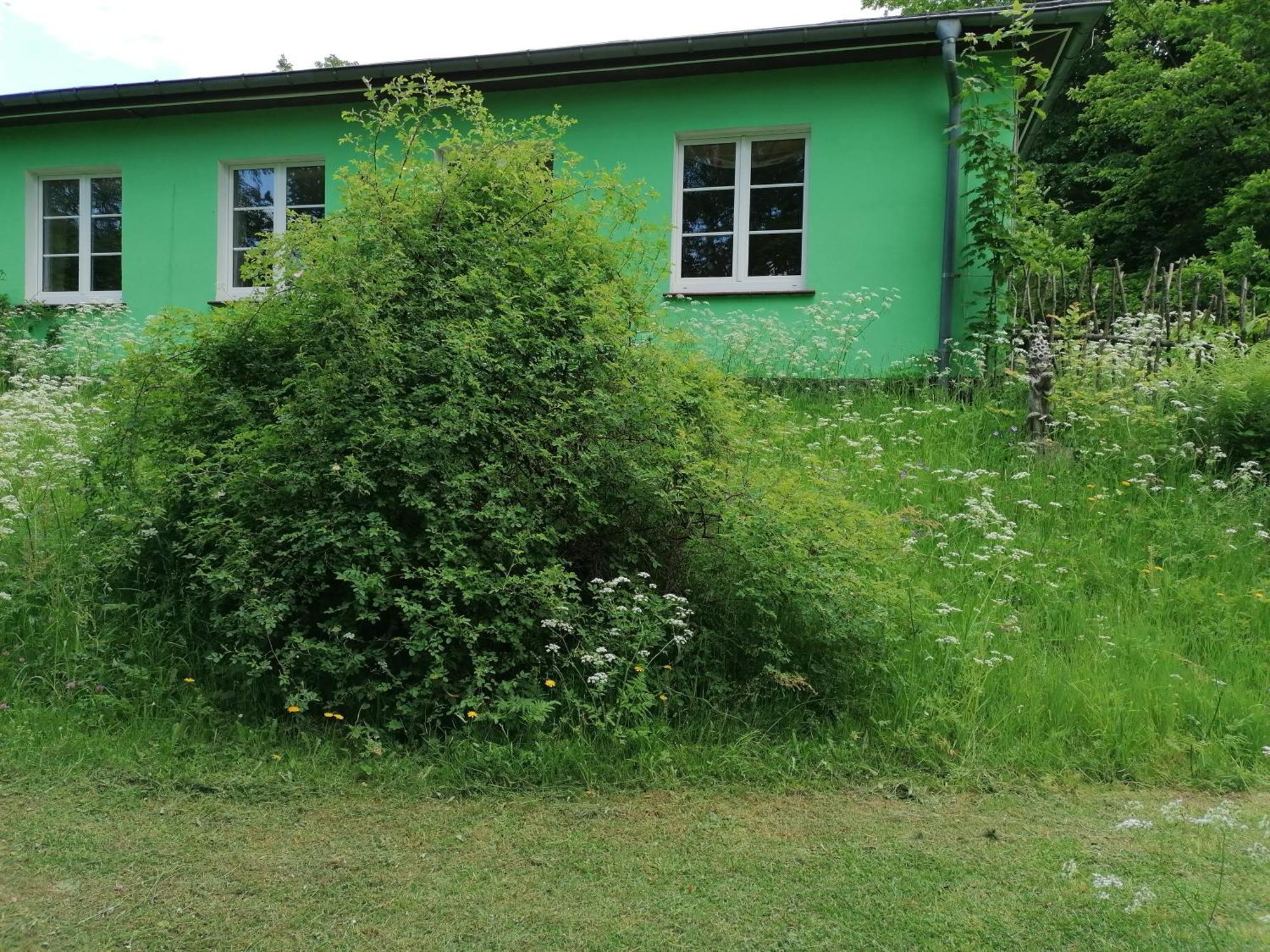 فندق Kraeuterbaude Saupsdorf المظهر الخارجي الصورة
