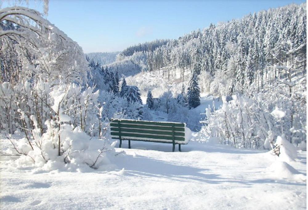 فندق Kraeuterbaude Saupsdorf المظهر الخارجي الصورة