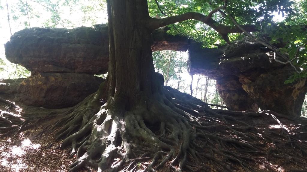 فندق Kraeuterbaude Saupsdorf المظهر الخارجي الصورة