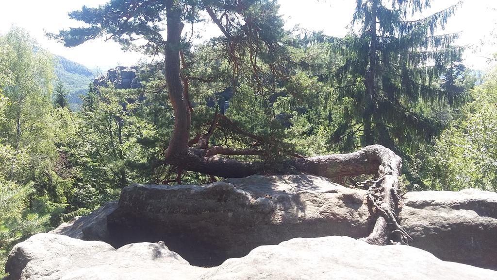 فندق Kraeuterbaude Saupsdorf المظهر الخارجي الصورة